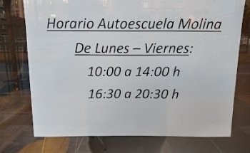 Autoescuela Molina