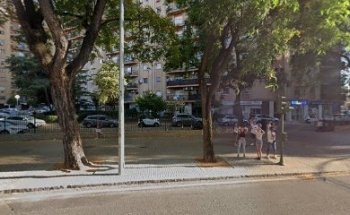 Autoescuela Árbol
