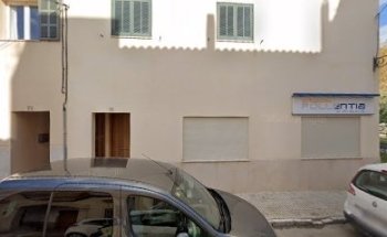 Autoescuela Seguí S L