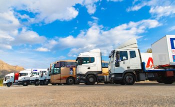 Autoescuela Alonso Torrevieja 2