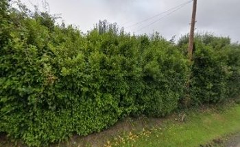 Right Start School of Motoring