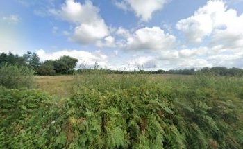 Drive With Clive Killarney