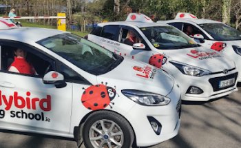Ladybird Driving School Lucan