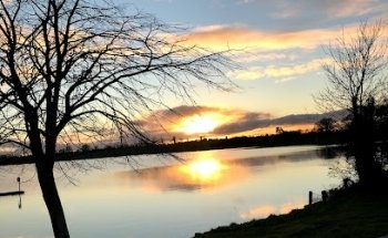 Hynesquinn Driving School