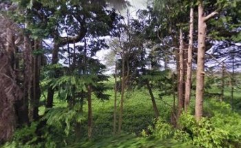 Safe Start Driving School