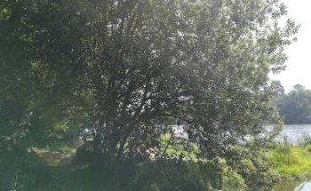 Escola De Condução Verde Minho-Jose Ferreira & Fontes, Lda.