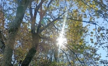 Escola de Condução Guimarães Cidade