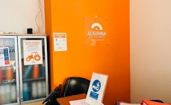 Academy driving school Volante