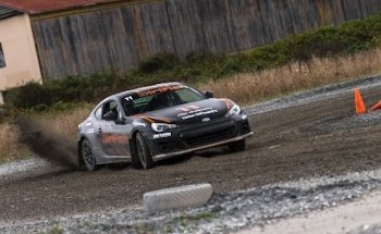 DirtFish