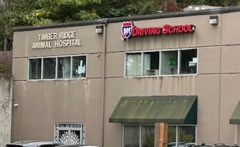911 Driving School