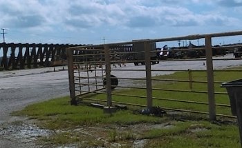 Porche Safety Consulting