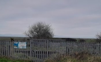 Cruise Centre Drive From Aged 10