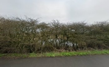 HILLSTART DRIVER TRAINING