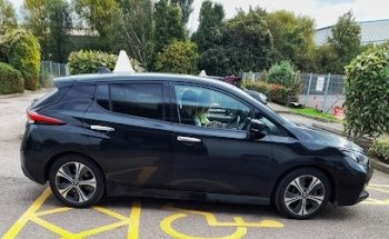 Automatic Leaders SOM