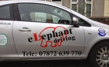 Elephant Driving School