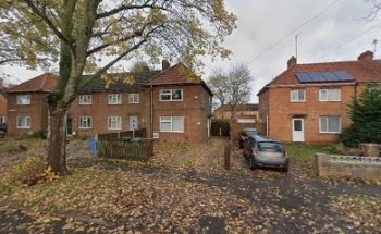 Delectable driving school