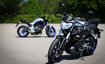 Fahrschule Dallhammer Meitingen