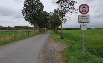 Driving School Udo Ringhoff