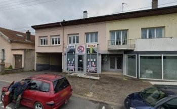 Zébra Conduite