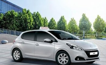 Driving School Luzy