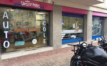 Driving School Carton Rose