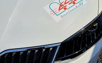 Driving School School Of Driving Bovary