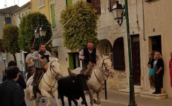 Auto Ecole Saint Louis