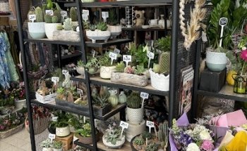 Driving School Virage