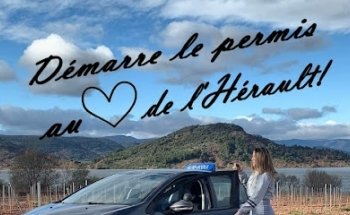 School Of Driving Flac