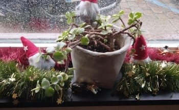 Driving School Saint Bénigne