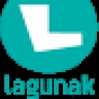 Autoescuela Lagunak