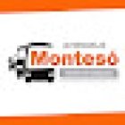 Montesó Alcañiz, Formación y Autoescuelas