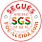 SEGUÉS autoescoles FOC-LLEIDA.COM