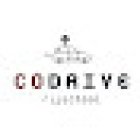 RIJSCHOOL CODRIVE