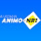 animo-nr.1