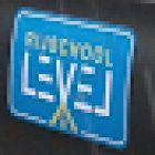Rijschool Level