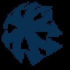 Freedom School of Motoring