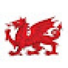 Dragon Driver Driving School