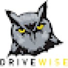 Drivewise Woodstock