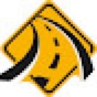 Drive Rite Academy