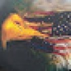 American Driving School LLC