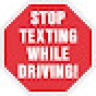 The Driving School
