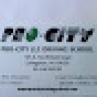 Pro City Driving School