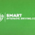 Smart intensive driving school