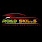 Road Skills Driving School