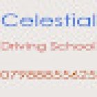 Celestial Driving School