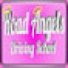 Road Angels Driving School