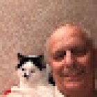 Automatic Driving Tuition