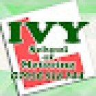 Ivy School of Motoring