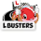 Lbusters Driving School